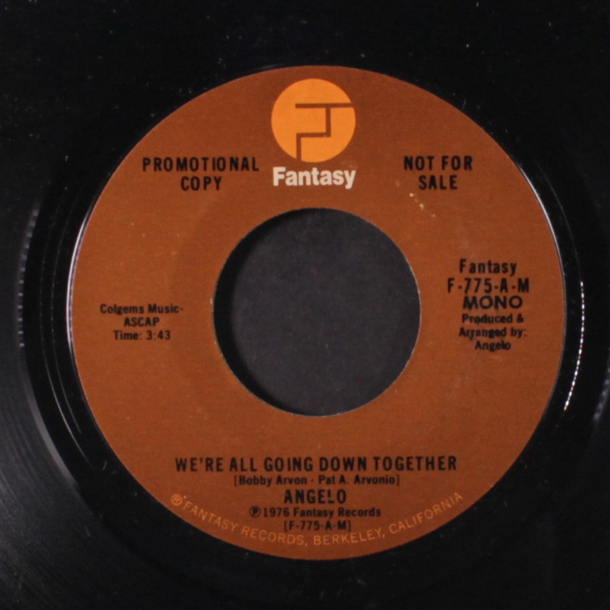 we're all going down together / mono by ANGELO