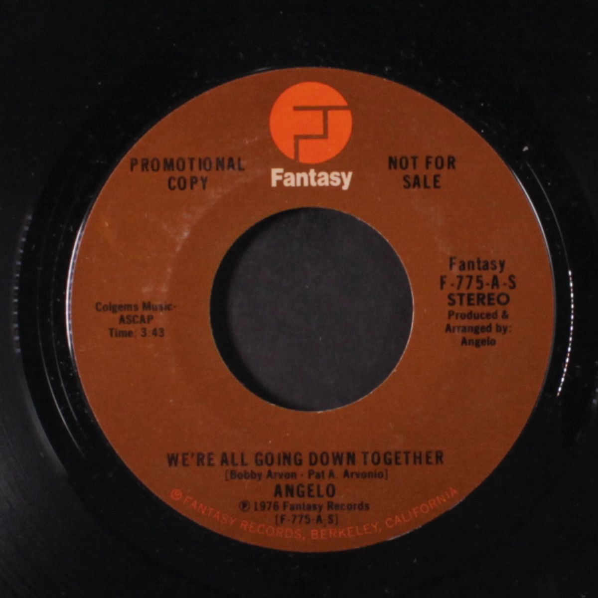 we're all going down together / mono by ANGELO