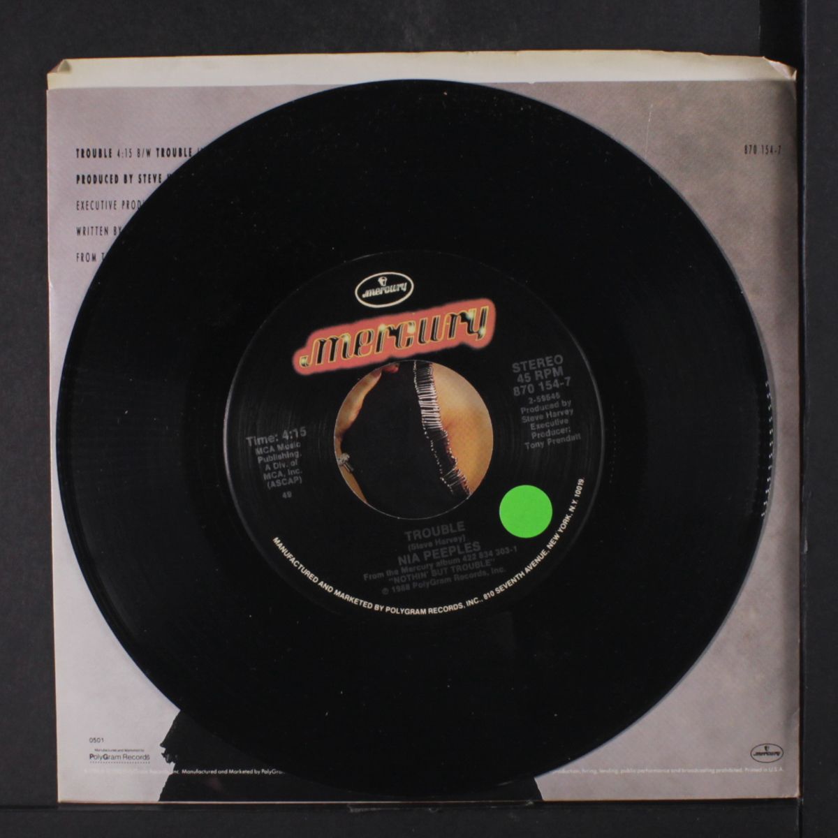 trouble / instrumental by NIA PEEPLES