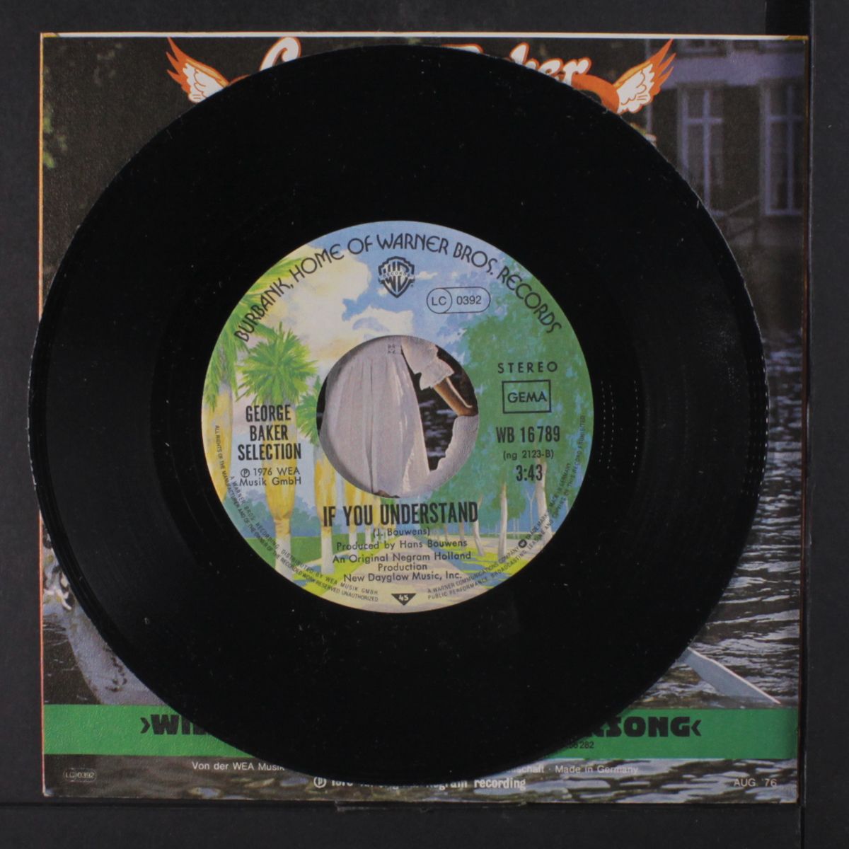 wild bird / if you understand by GEORGE BAKER SELECTION