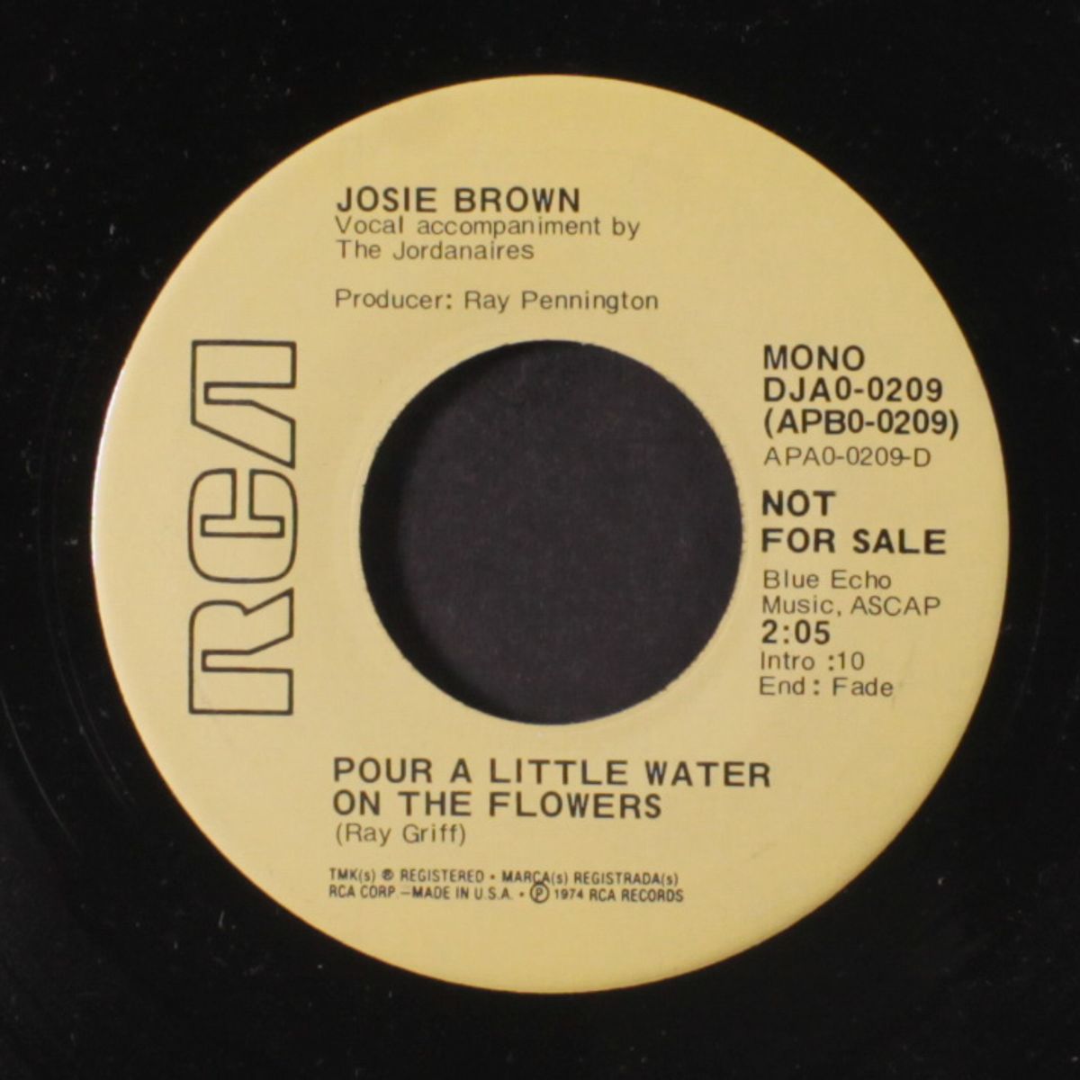 both sides of the line / pour a little water on the flowers by JOSIE BROWN
