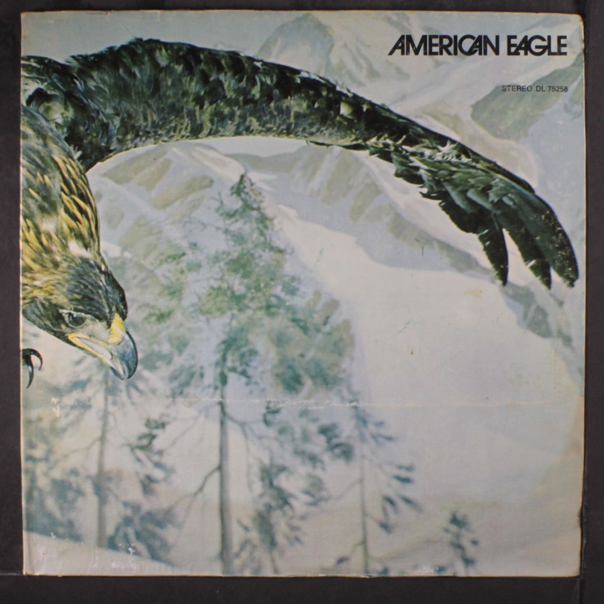american eagle by AMERICAN EAGLE