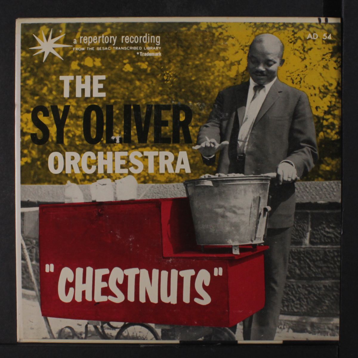 chestnuts by SY OLIVER