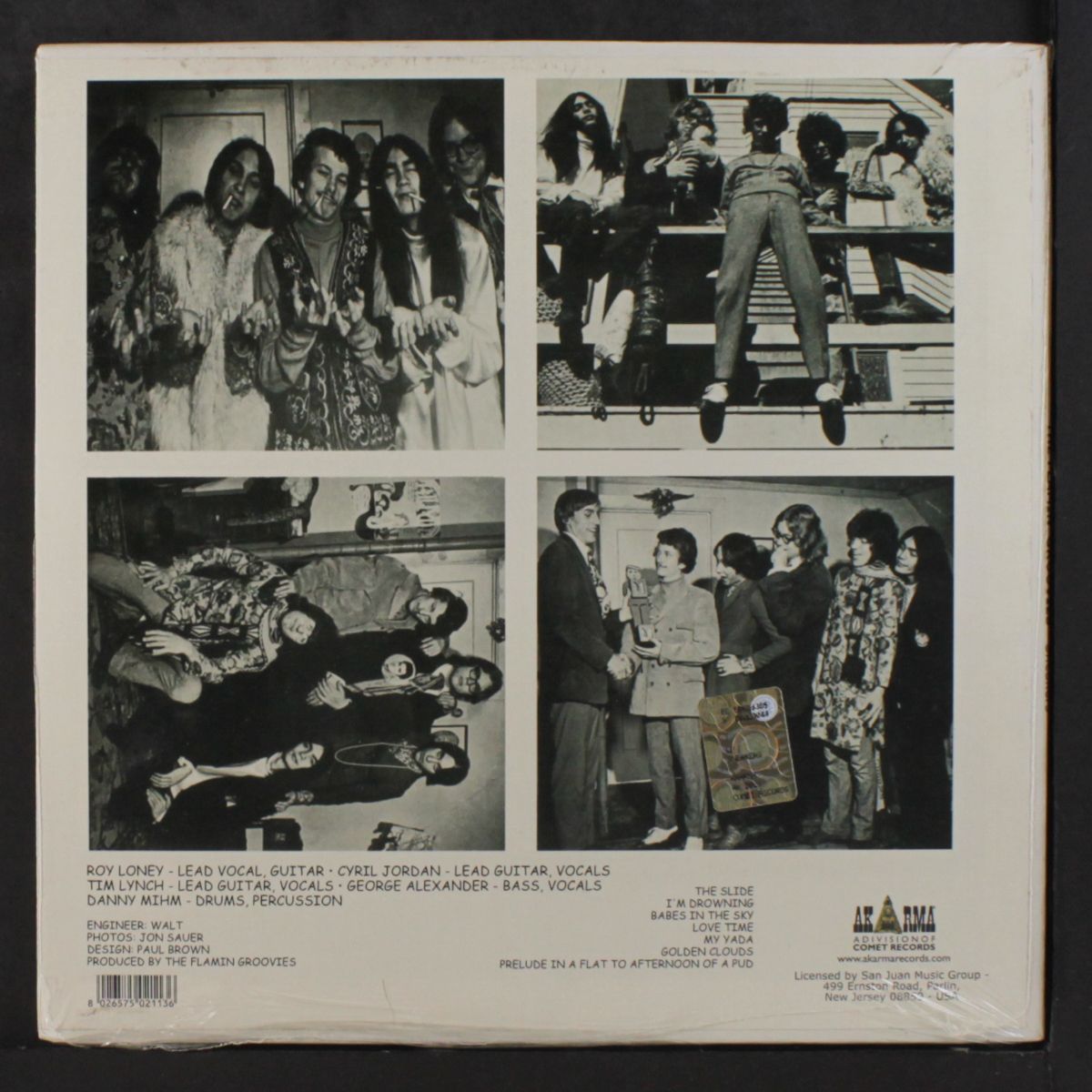 sneakers by FLAMIN' GROOVIES