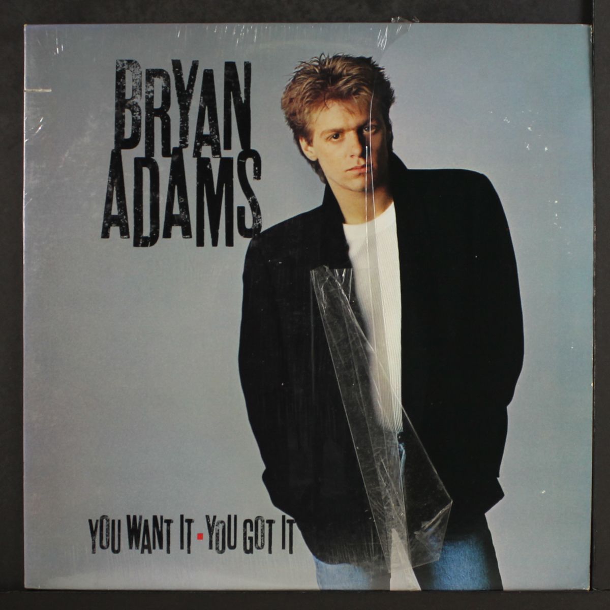 you want it you got it by BRYAN ADAMS