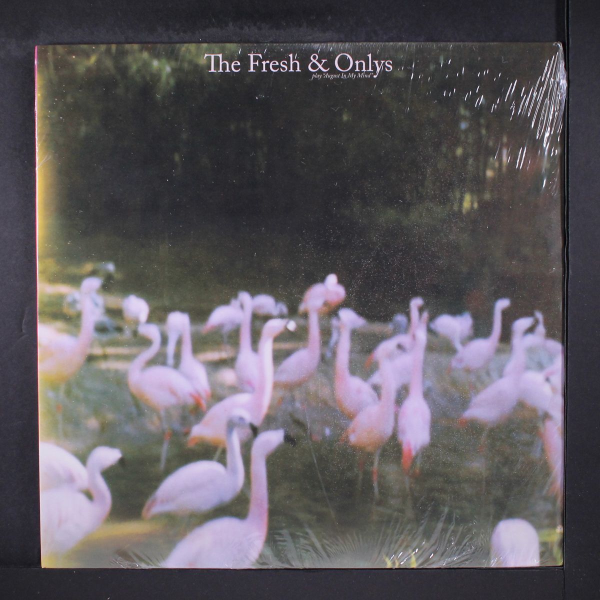 august in my mind by FRESH & ONLYS