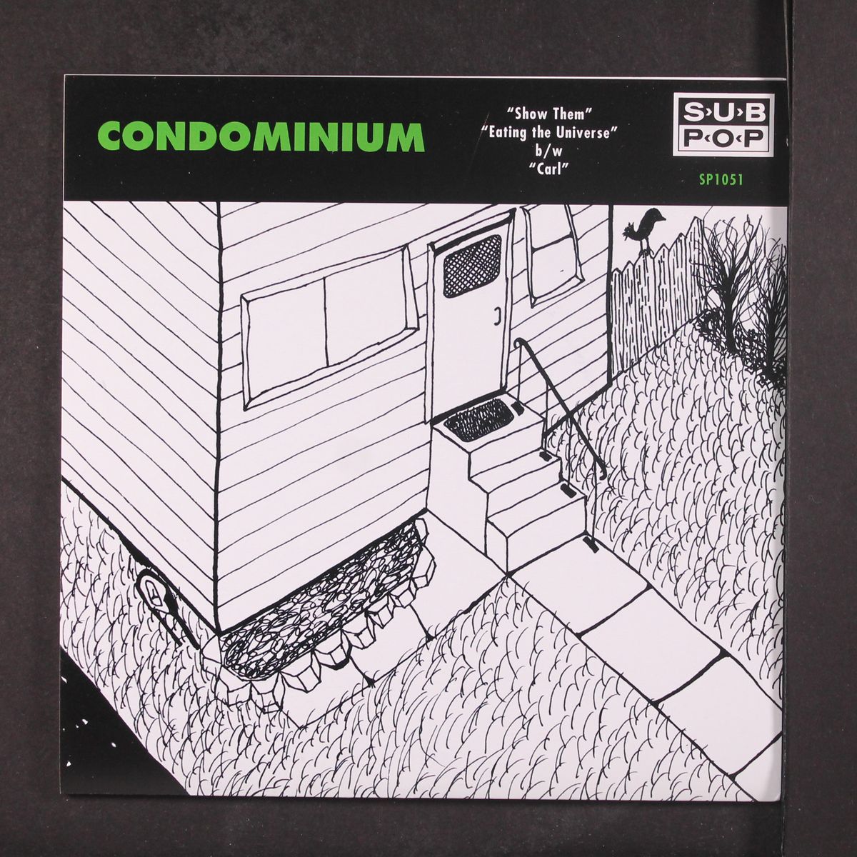 show them / eating the universe / carl by CONDOMINIUM