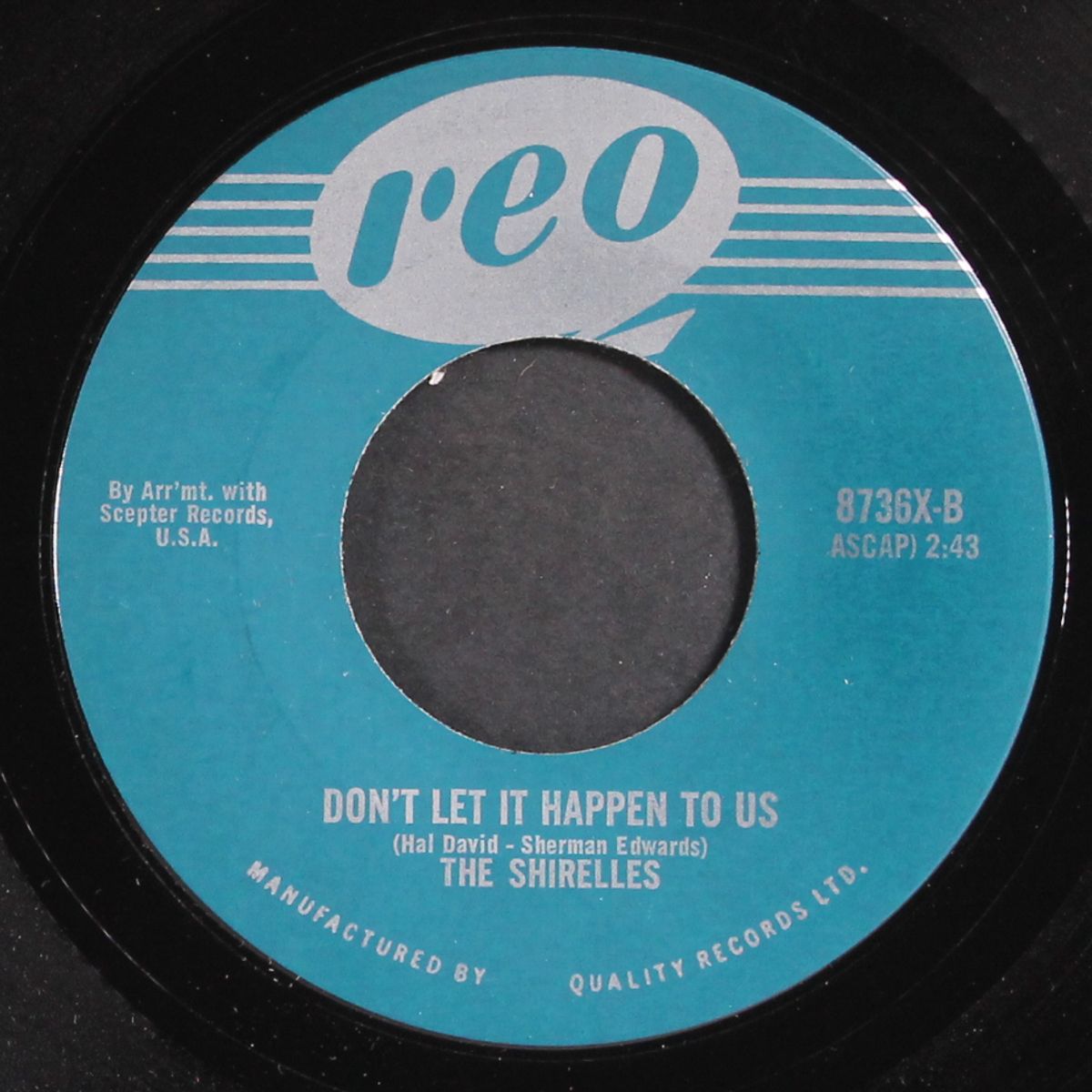 what does a girl do by SHIRELLES