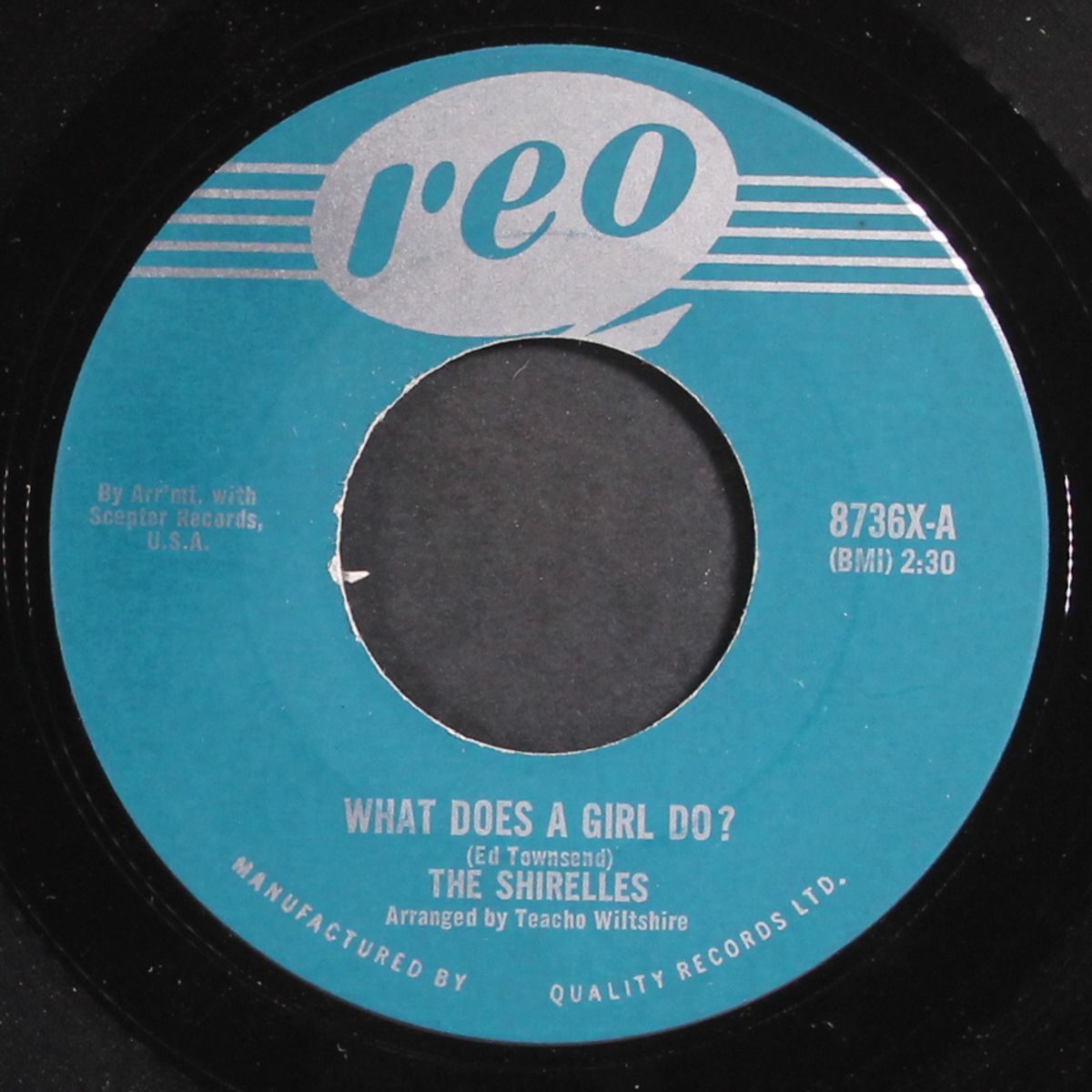 what does a girl do by SHIRELLES