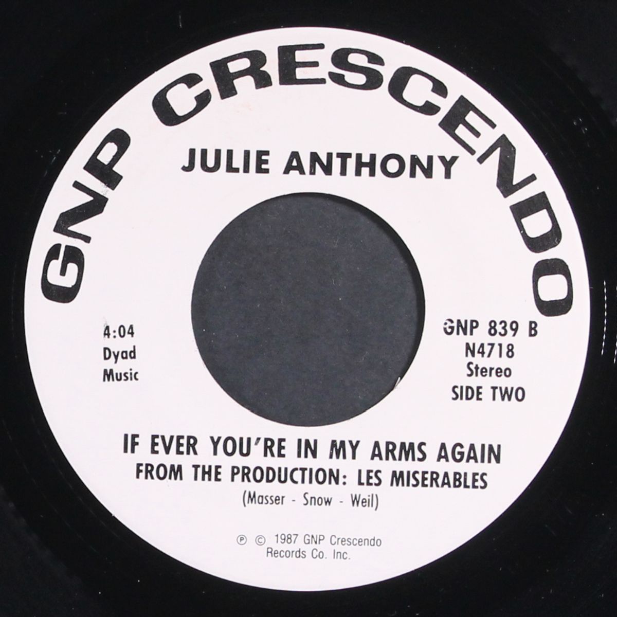 i dreamed a dream by JULIE ANTHONY