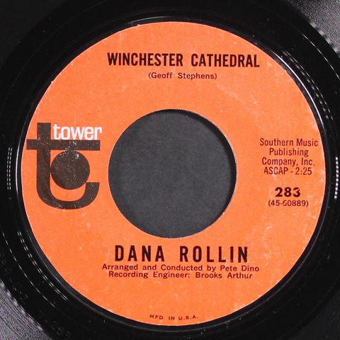 DANA ROLLIN
