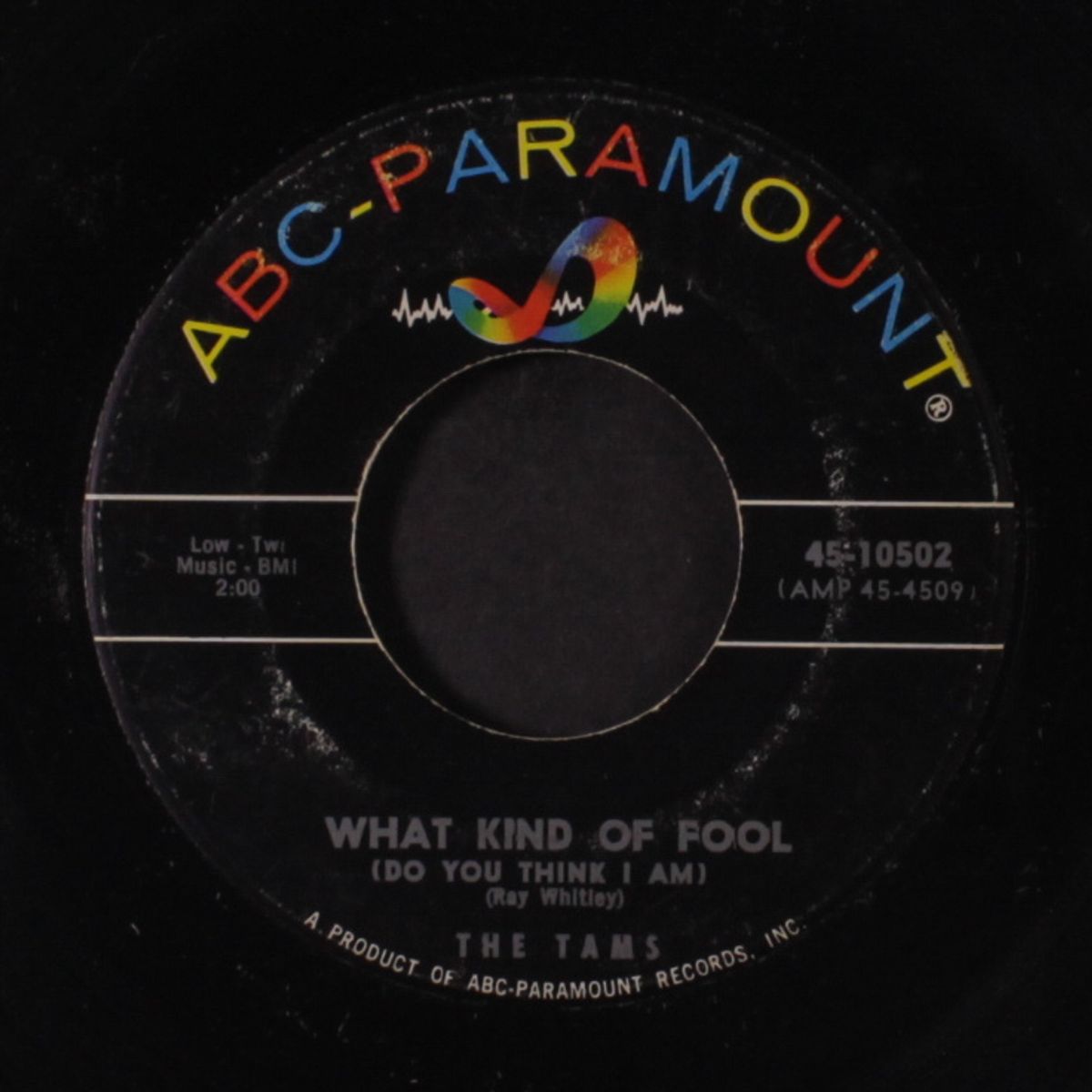 what kind of fool / laugh it off by TAMS