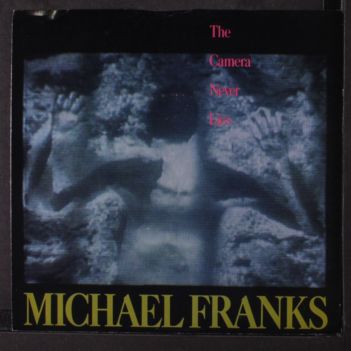 the camera never lies / same by MICAHEL FRANKS