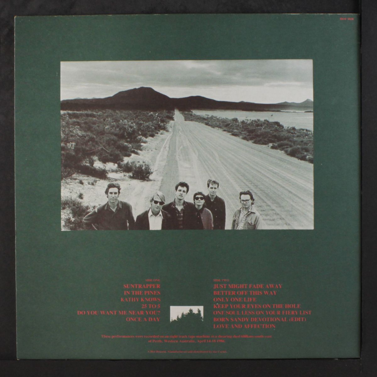 in the pines by TRIFFIDS