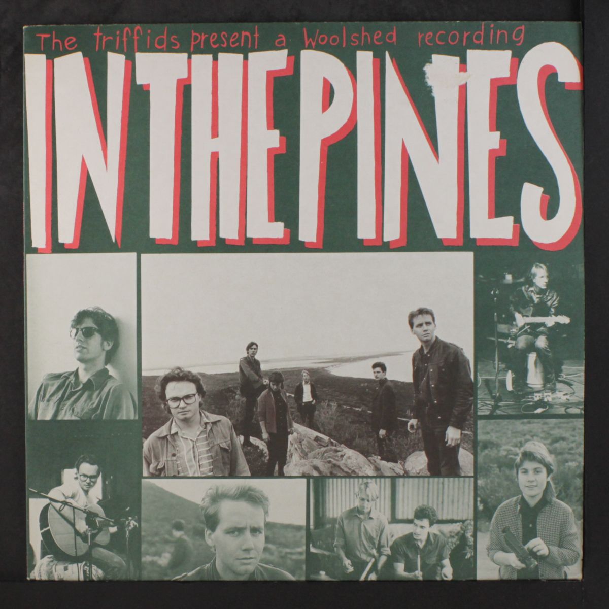 in the pines by TRIFFIDS