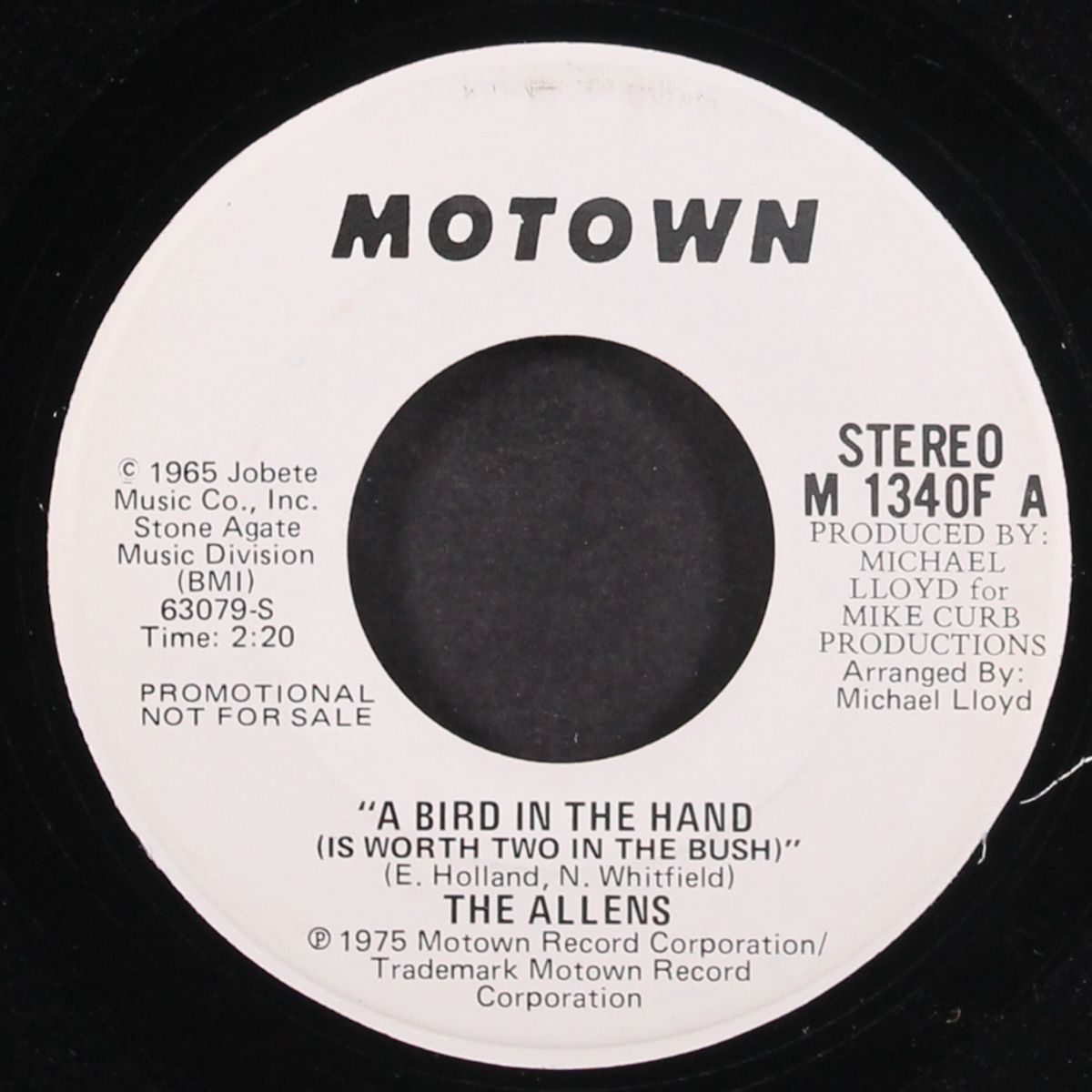 a bird in the hand / mono by ALLENS