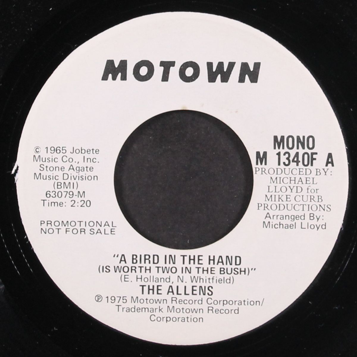 a bird in the hand / mono by ALLENS