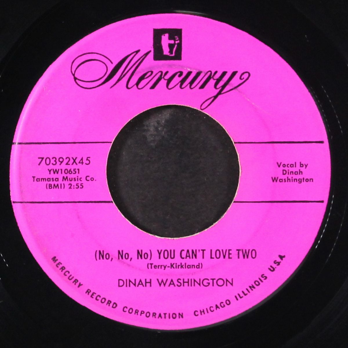big long slidin' thing / (no, no, no) you can't love two by DINAH WASHINGTON