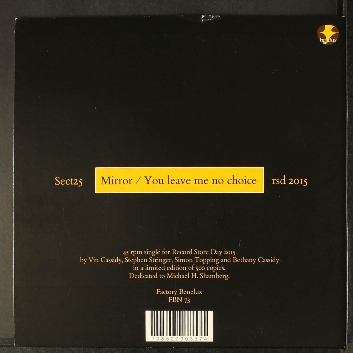 mirror / you leave me no choice by SECTION 25