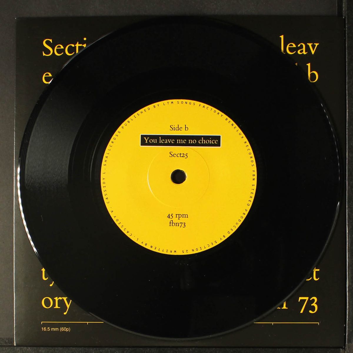 mirror / you leave me no choice by SECTION 25