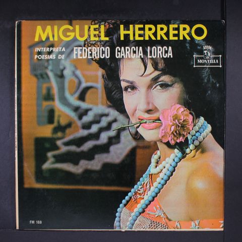 MIGUEL HERRERO