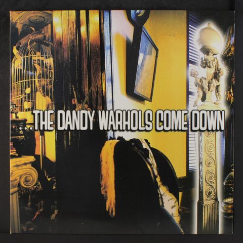 DANDY WARHOLS