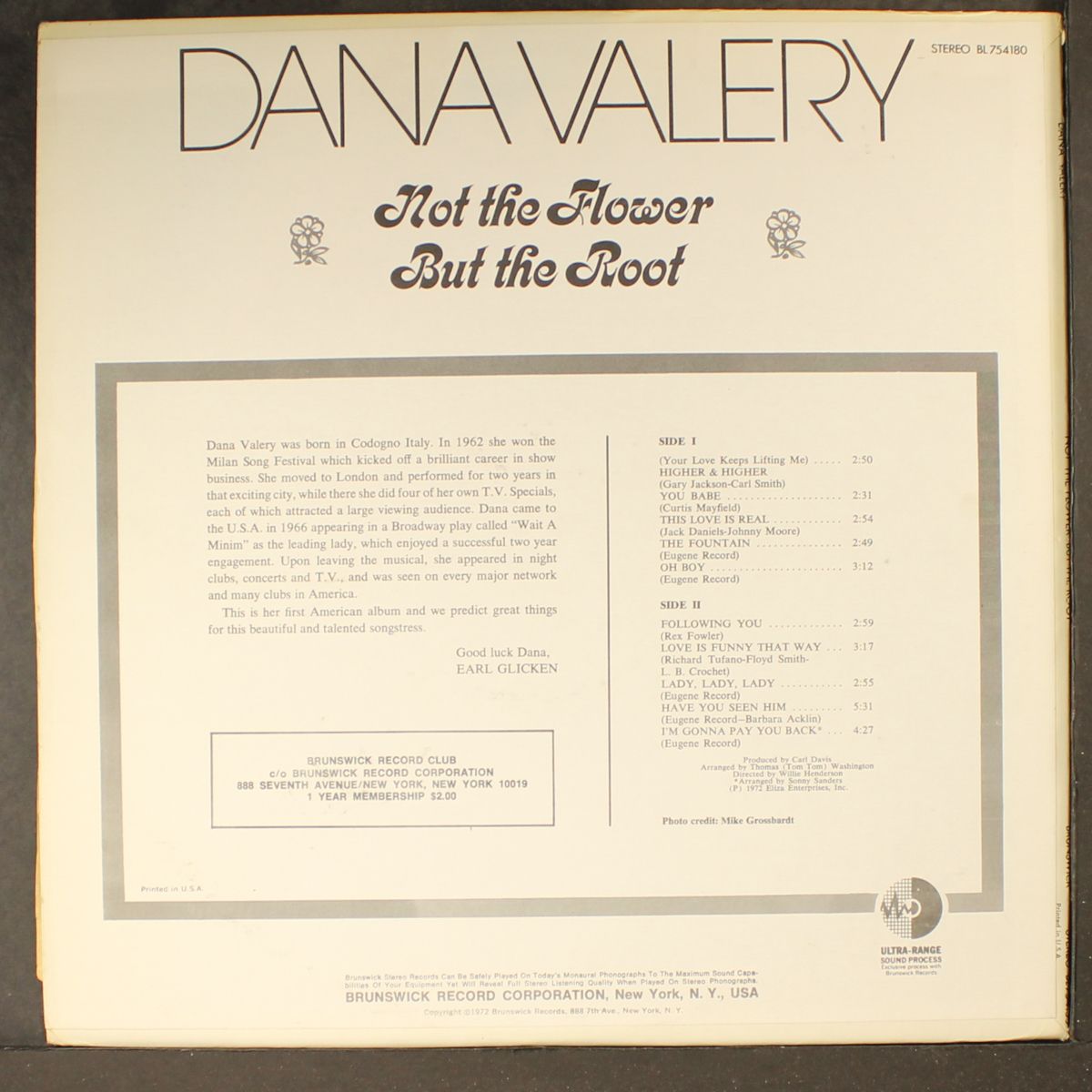 not the flower but the root by DANA VALERY