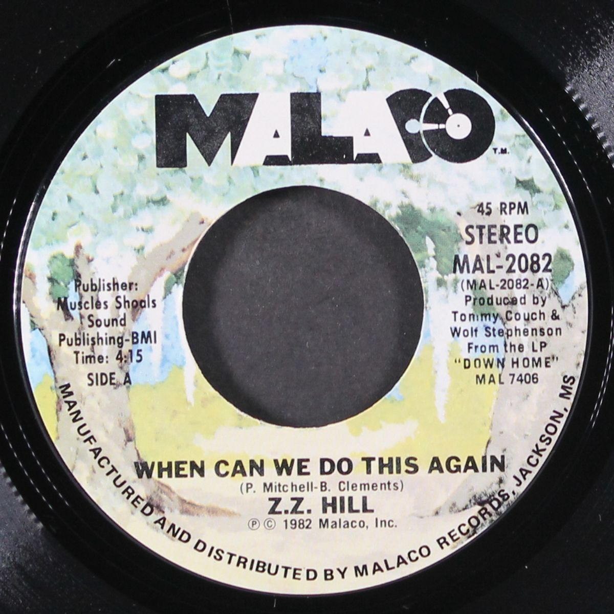 when can we do this again by Z.Z. HILL