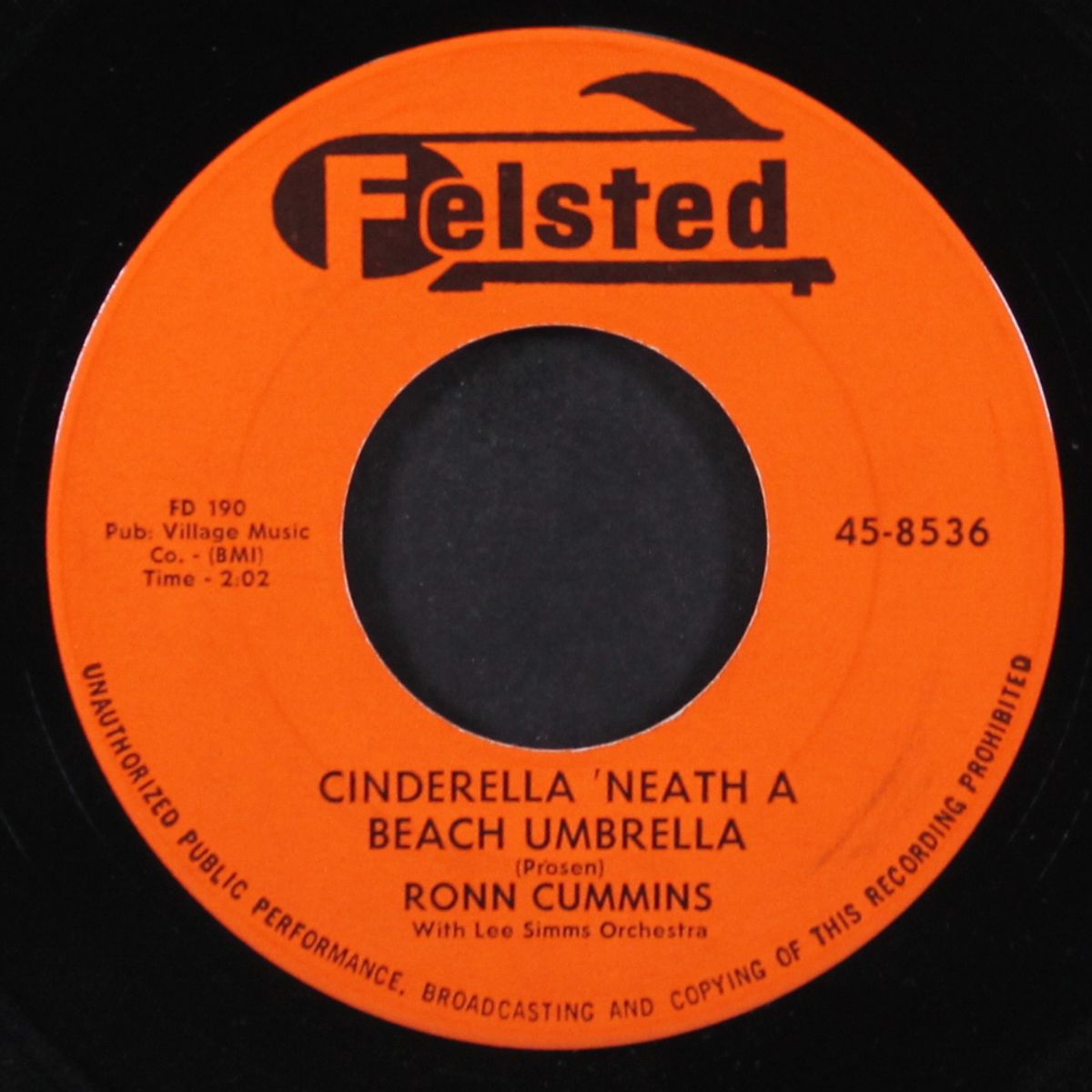 cinderella 'neath a beach umbrella / you thrill me by RONN CUMMINS