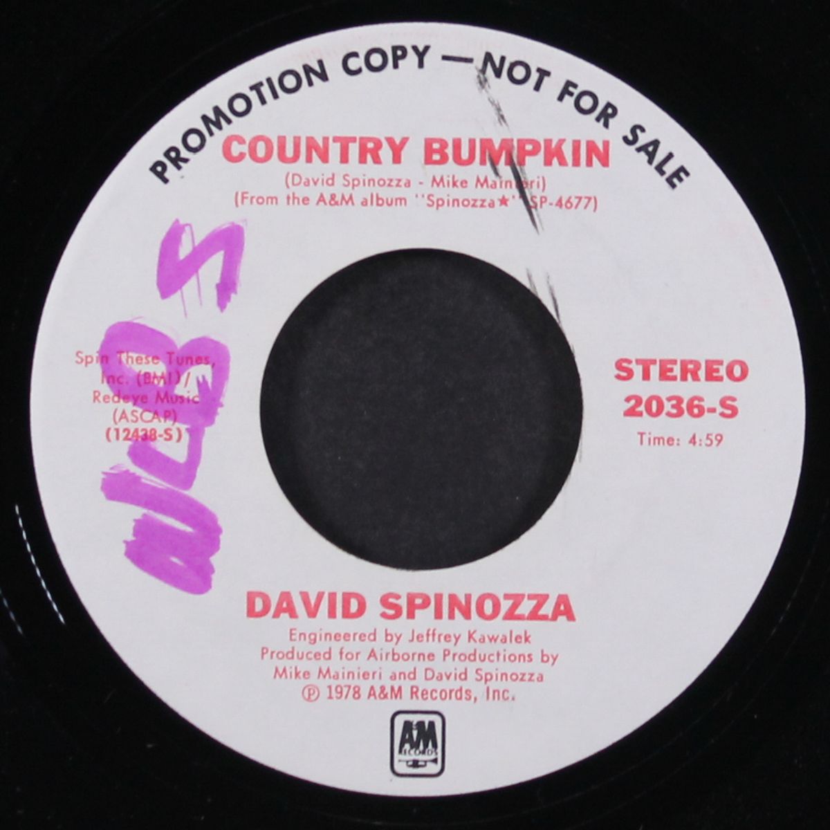 superstar / country bumpkin by DAVID SPINOZZA