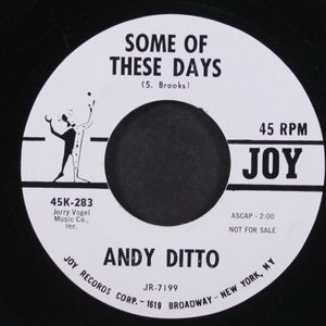 ANDY DITTO