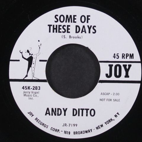 ANDY DITTO