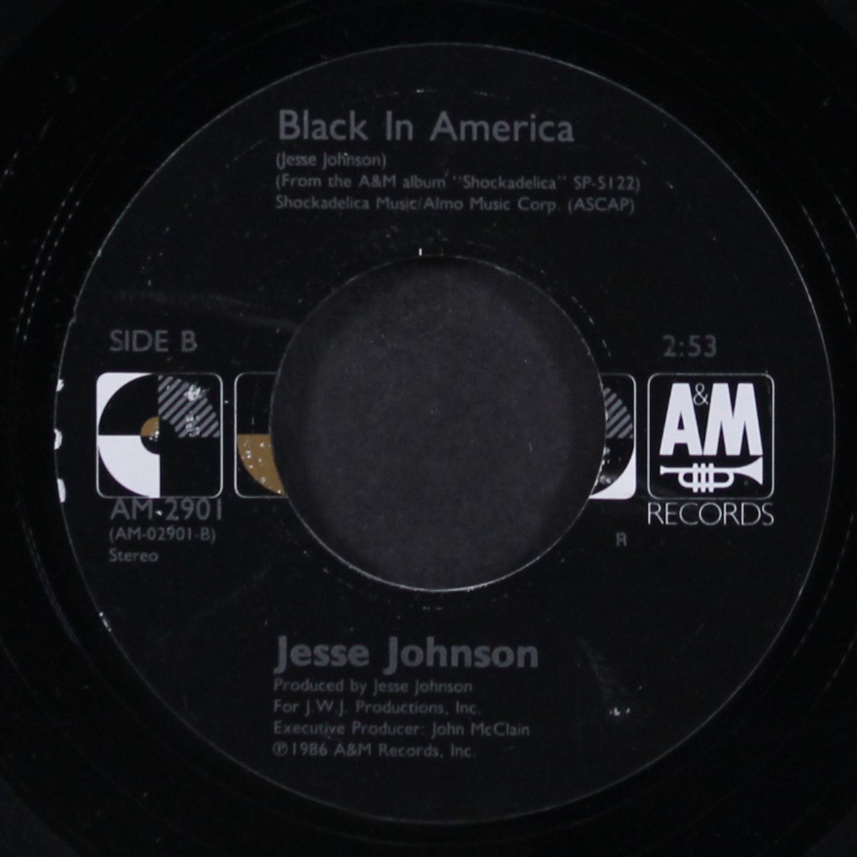 she (i can't resist / black in america) by JESSE JOHNSON