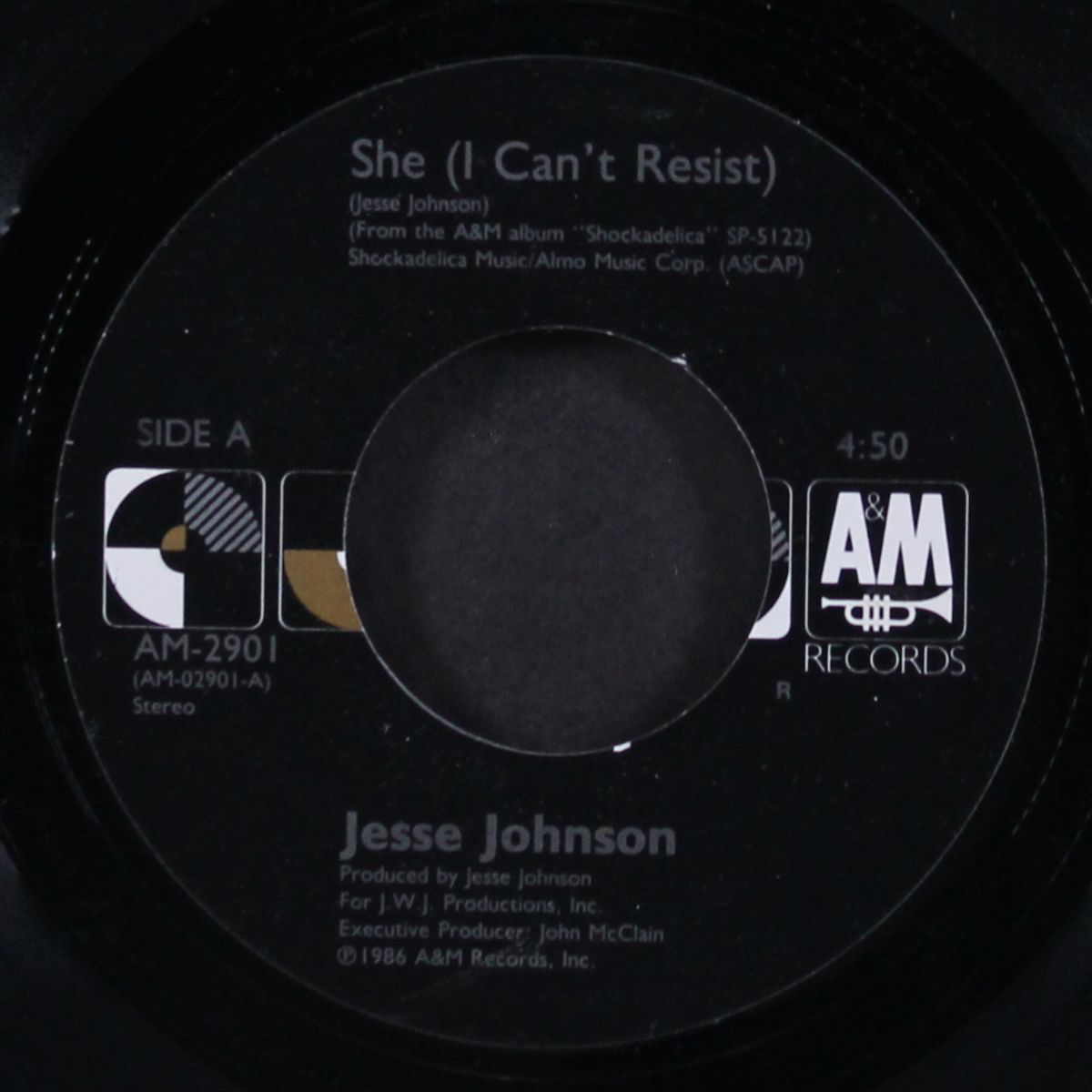 she (i can't resist / black in america) by JESSE JOHNSON