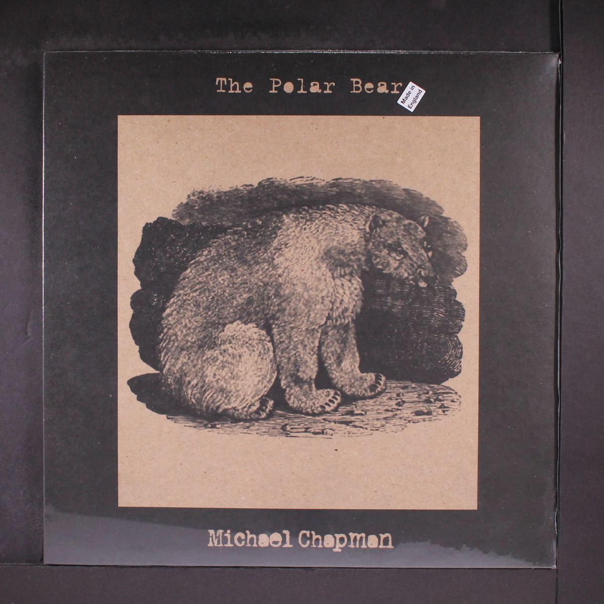 the polar bear by MICHAEL CHAPMAN