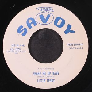 LITTLE TERRY