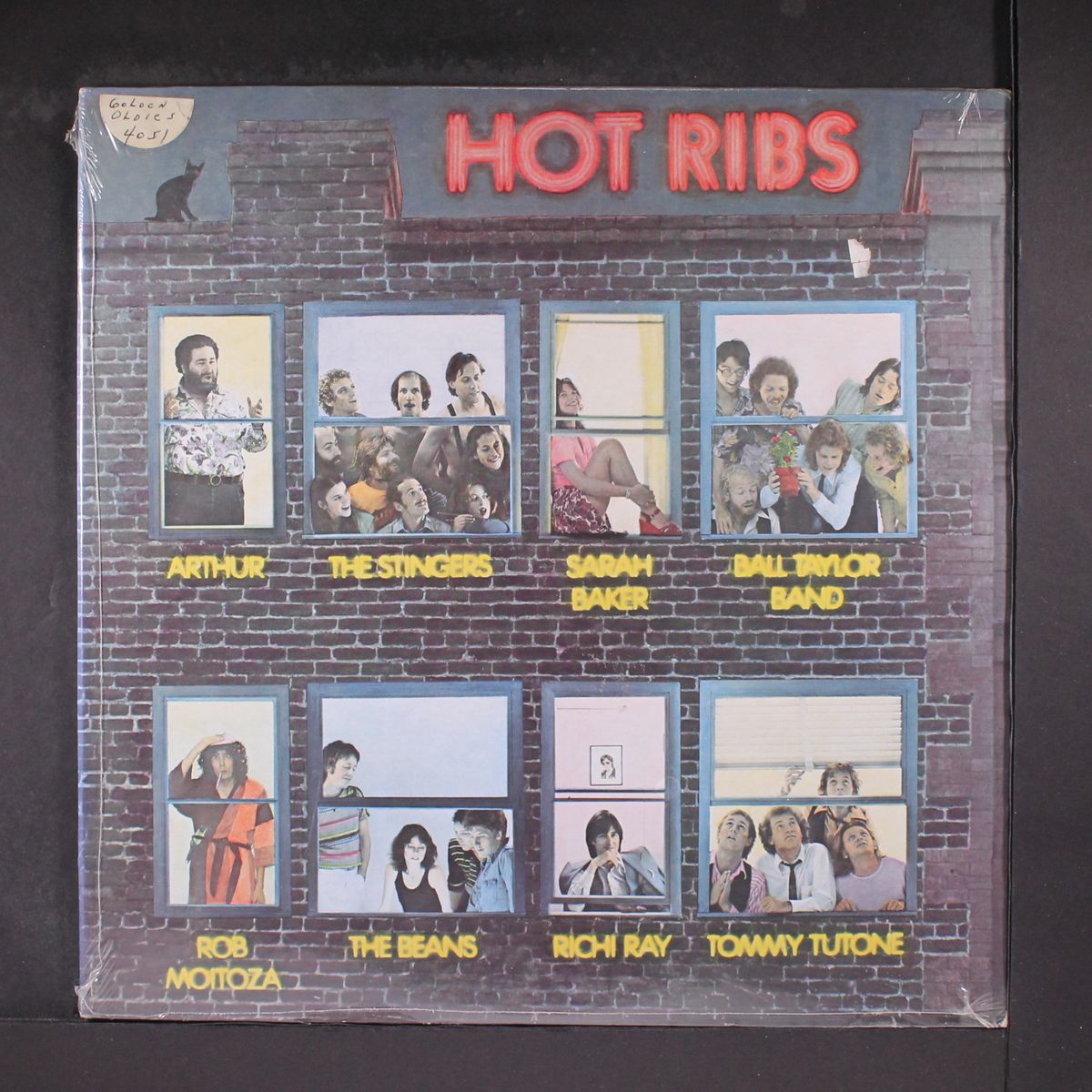 hot ribs by VARIOUS