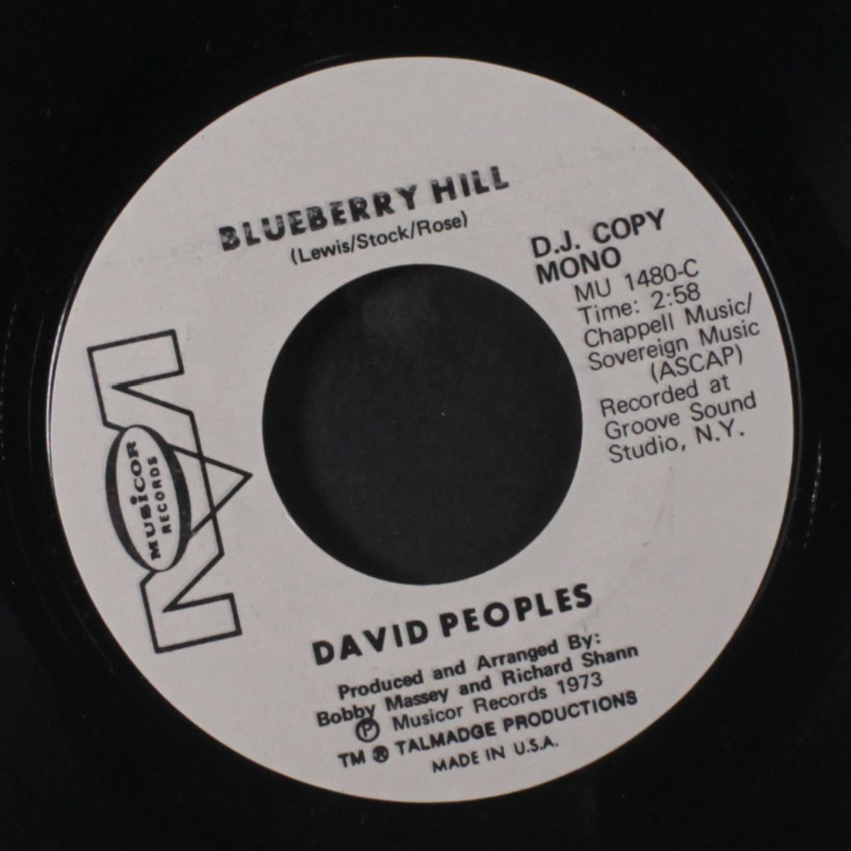 blueberry hill / mono by DAVID PEOPLES