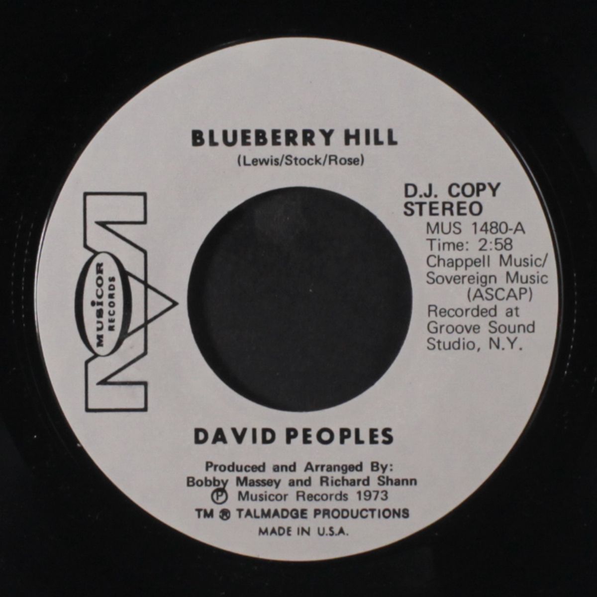 blueberry hill / mono by DAVID PEOPLES