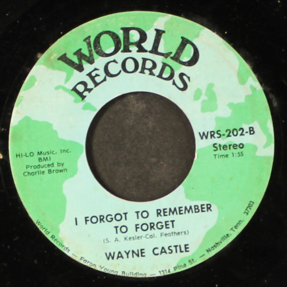 i forgot to remember to forget by WAYNE CASTLE