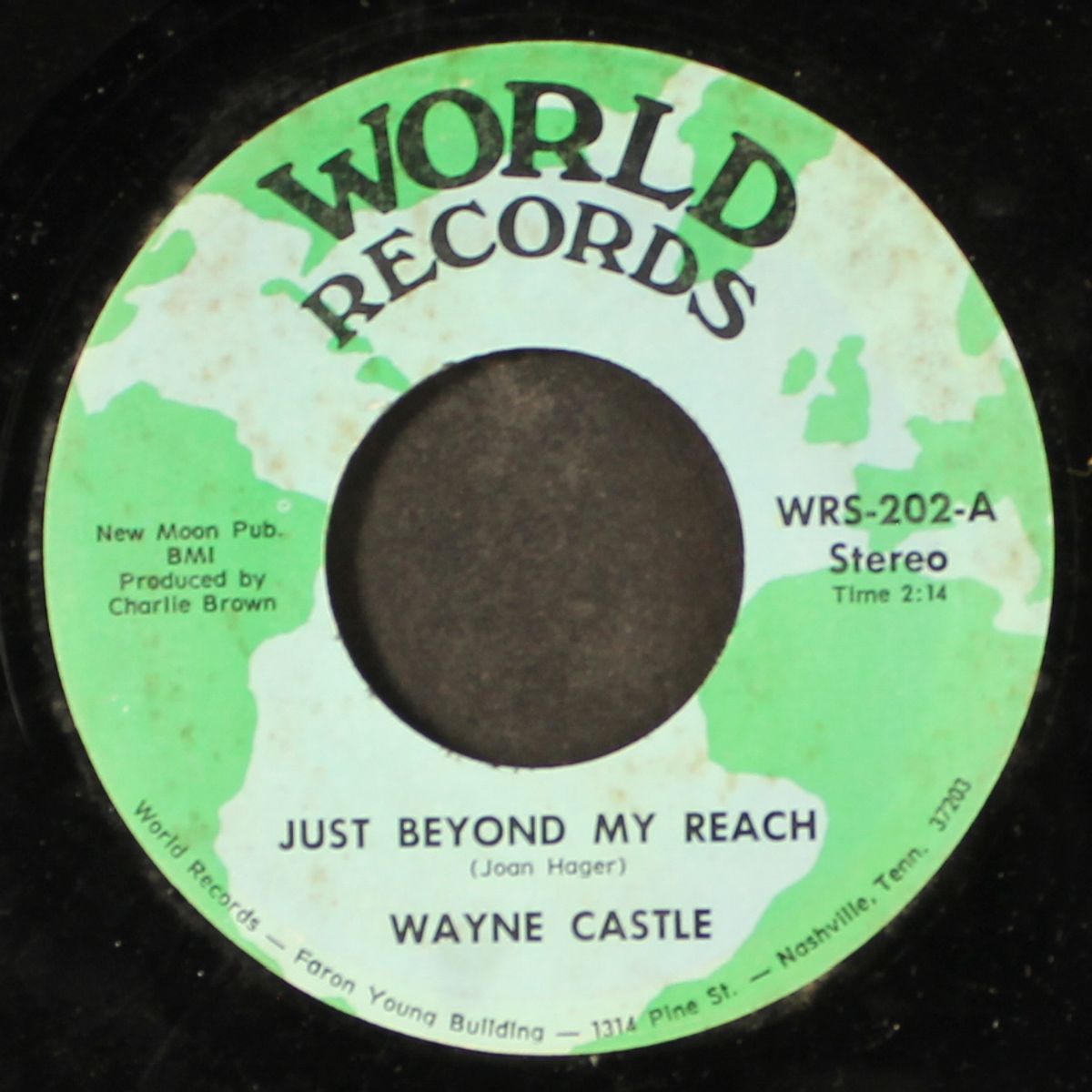 i forgot to remember to forget by WAYNE CASTLE