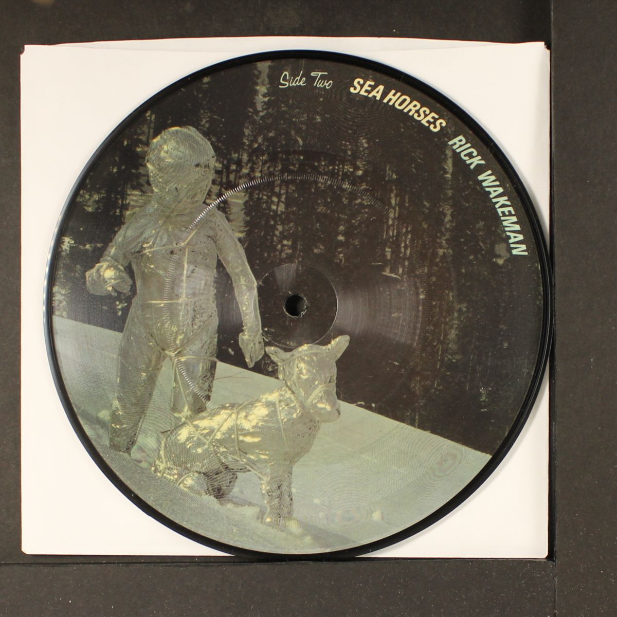 animal showdown / sea horses by RICK WAKEMAN