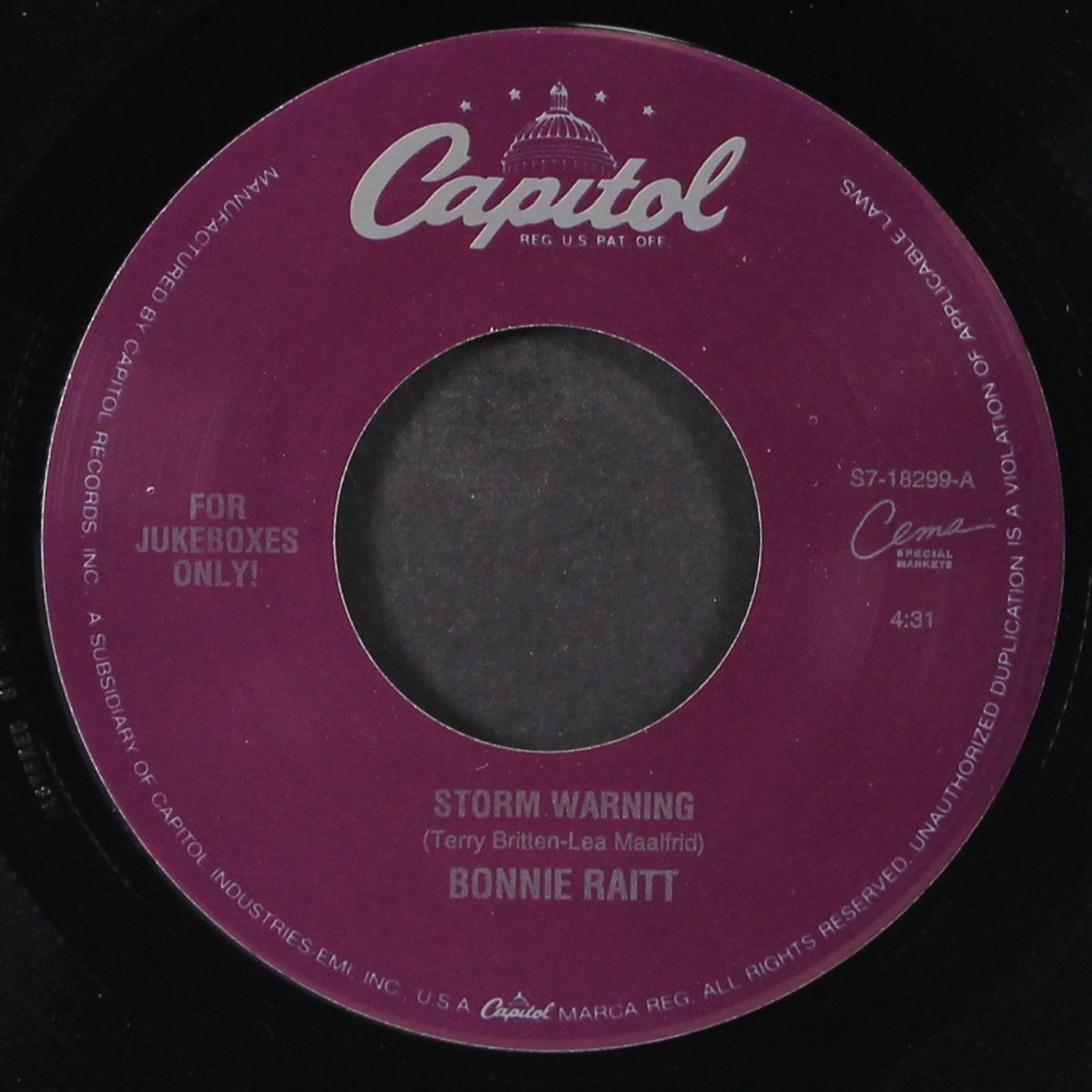 storm warning / longing in their hearts by BONNIE RAITT