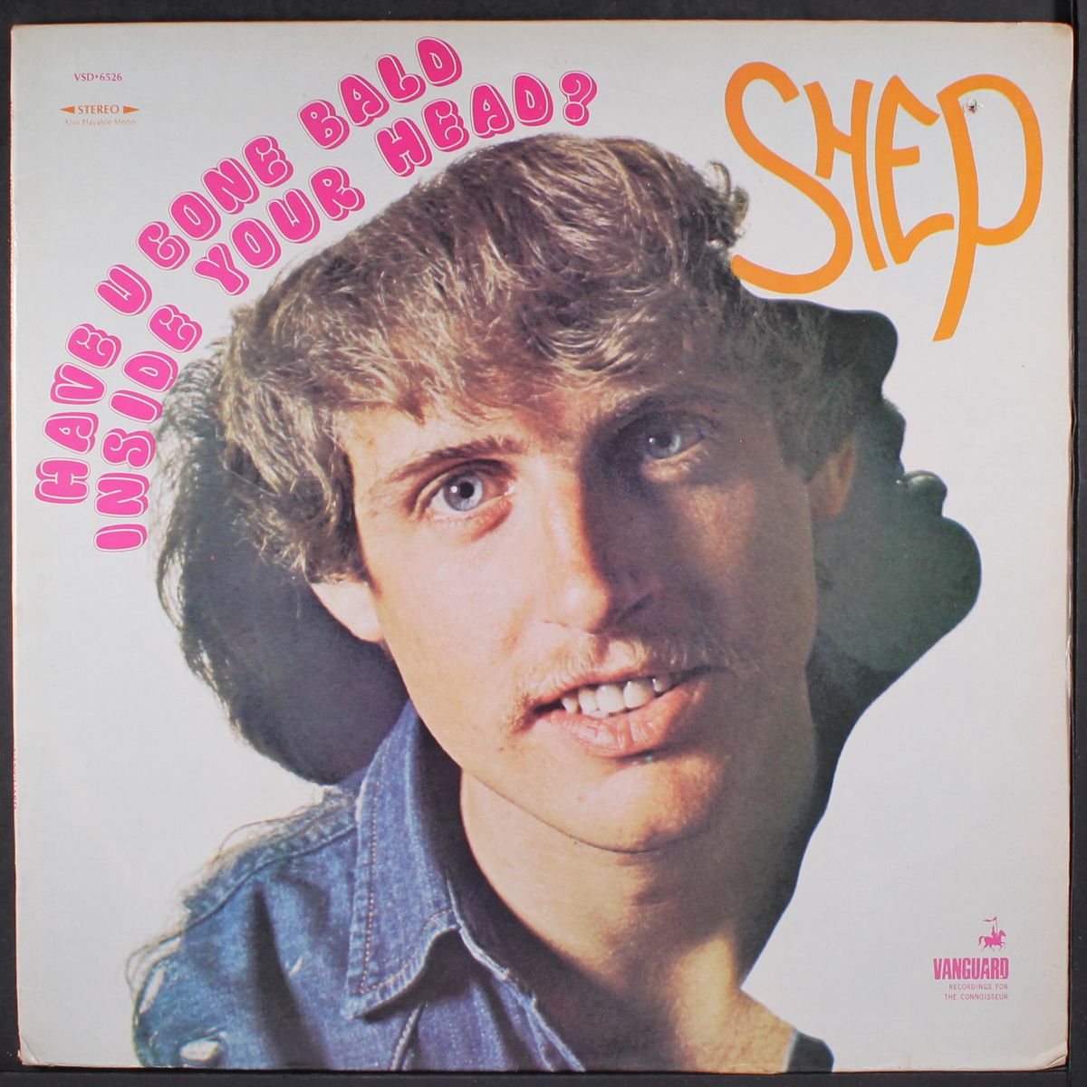 have u gone bald inside your head? by SHEP