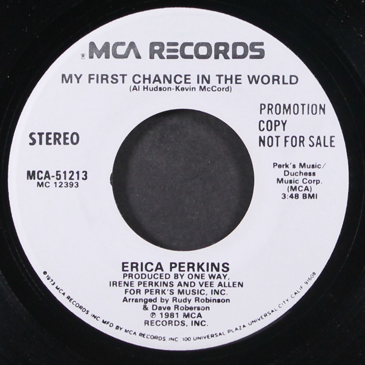little sally walker / my first chance in the world by ERICA PERKINS