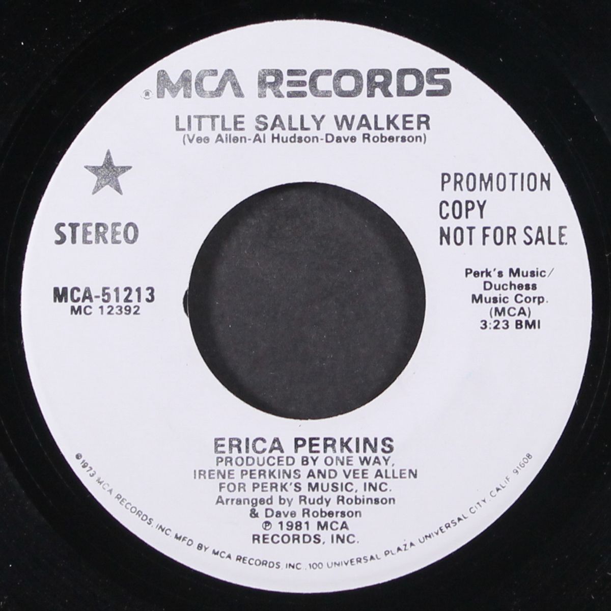 little sally walker / my first chance in the world by ERICA PERKINS