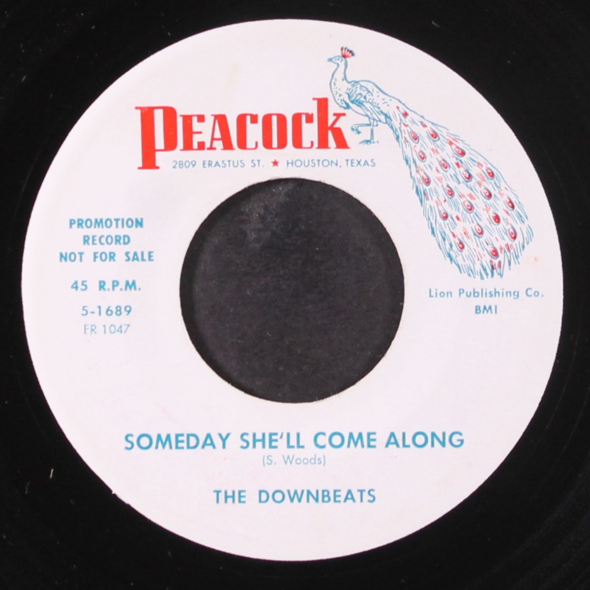 someday she'll come along / you're so fine by DOWNBEATS