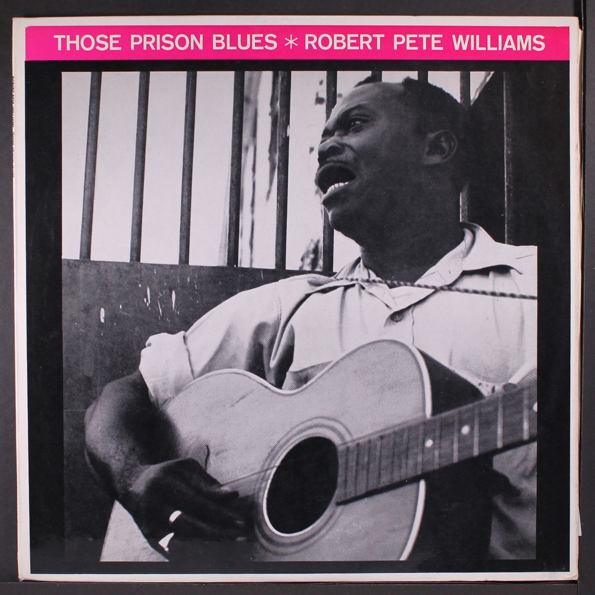 those prison blues by ROBERT PETE WILLIAMS