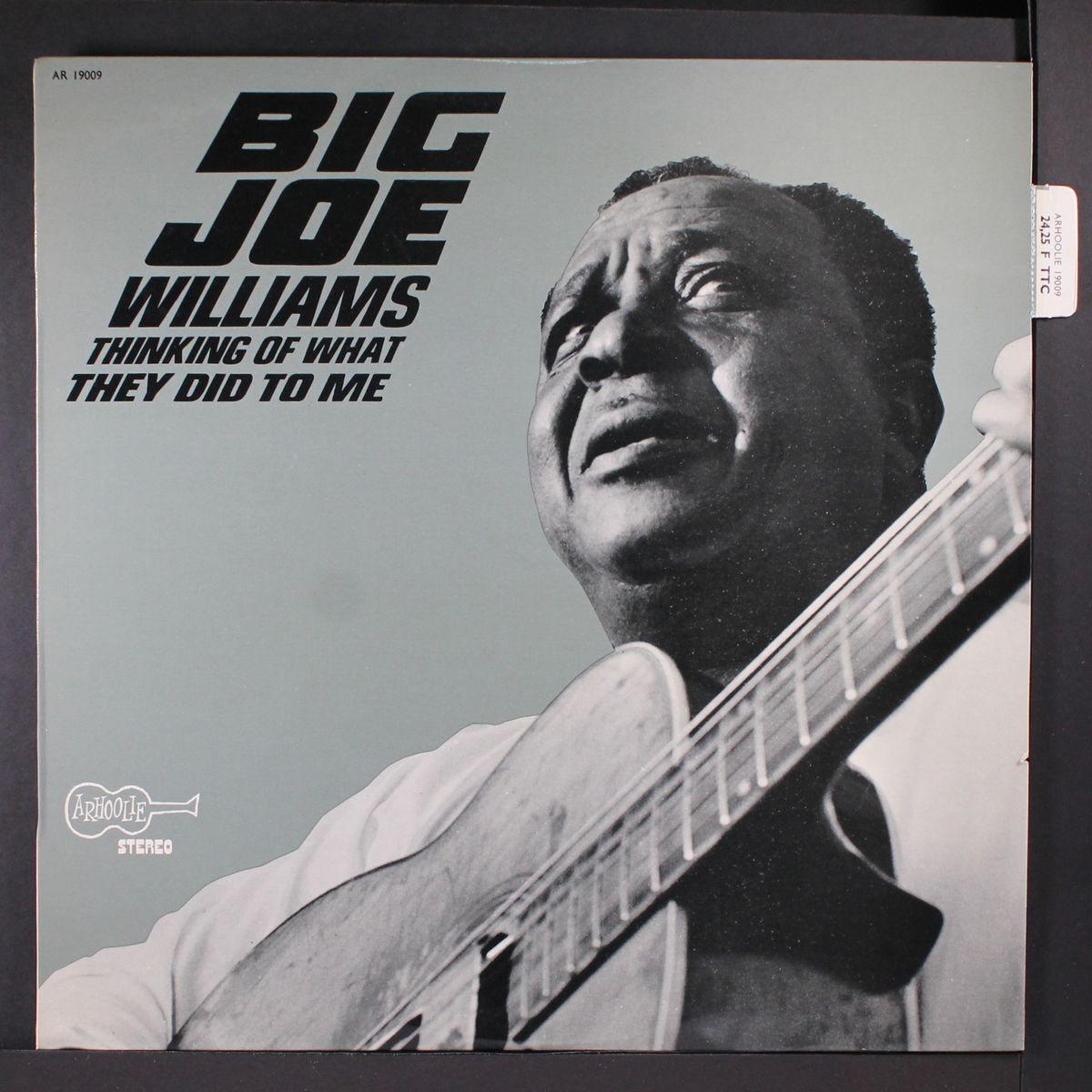 thinking of what they did to me by BIG JOE WILLIAMS