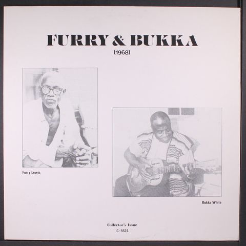 FURRY LEWIS / BUKKA WHITE